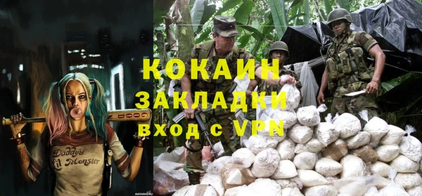 шишки Ладушкин
