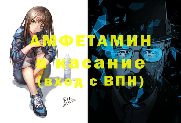шишки Ладушкин