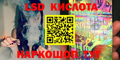 крисы Гай