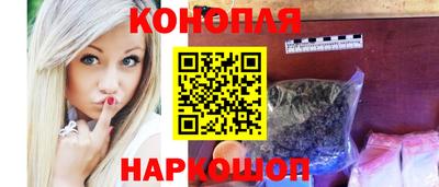 крисы Гай