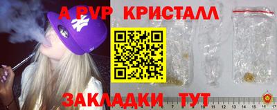 крисы Гай