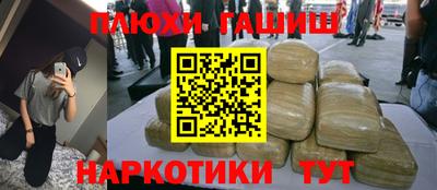 крисы Гай