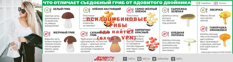 Галлюциногенные грибы мицелий  Казань 