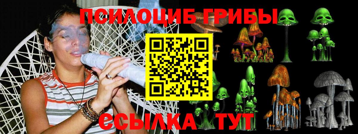 Галлюциногенные грибы Cubensis Казань