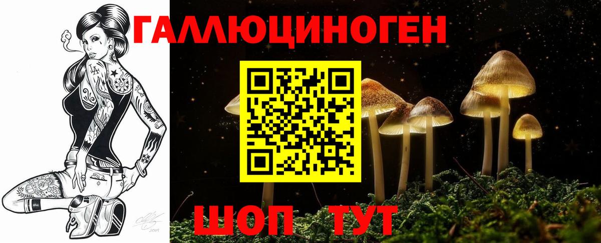 Галлюциногенные грибы Psilocybe  что такое   Казань  Вход с VPN 